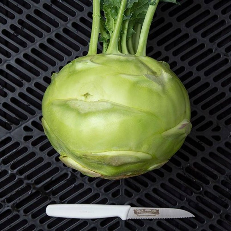 Gigant óriás karalábé, Brassica oleracea, gyökérzöldség, zöldség